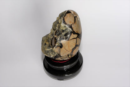 5.1" Polished, Multi-Colored Calcite Filled Septarian Geode "Egg" - Madagascar