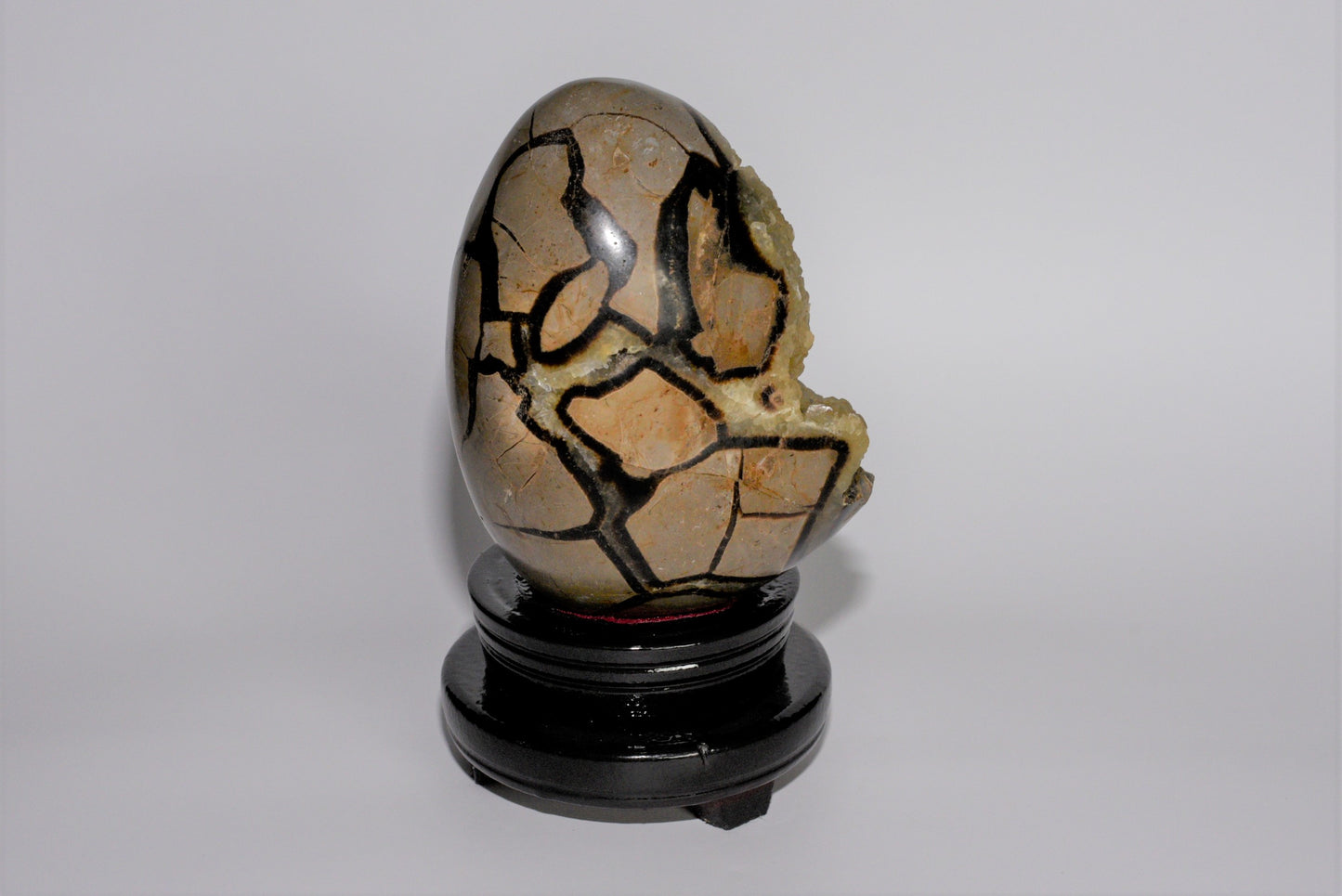 5.1" Polished, Multi-Colored Calcite Filled Septarian Geode "Egg" - Madagascar