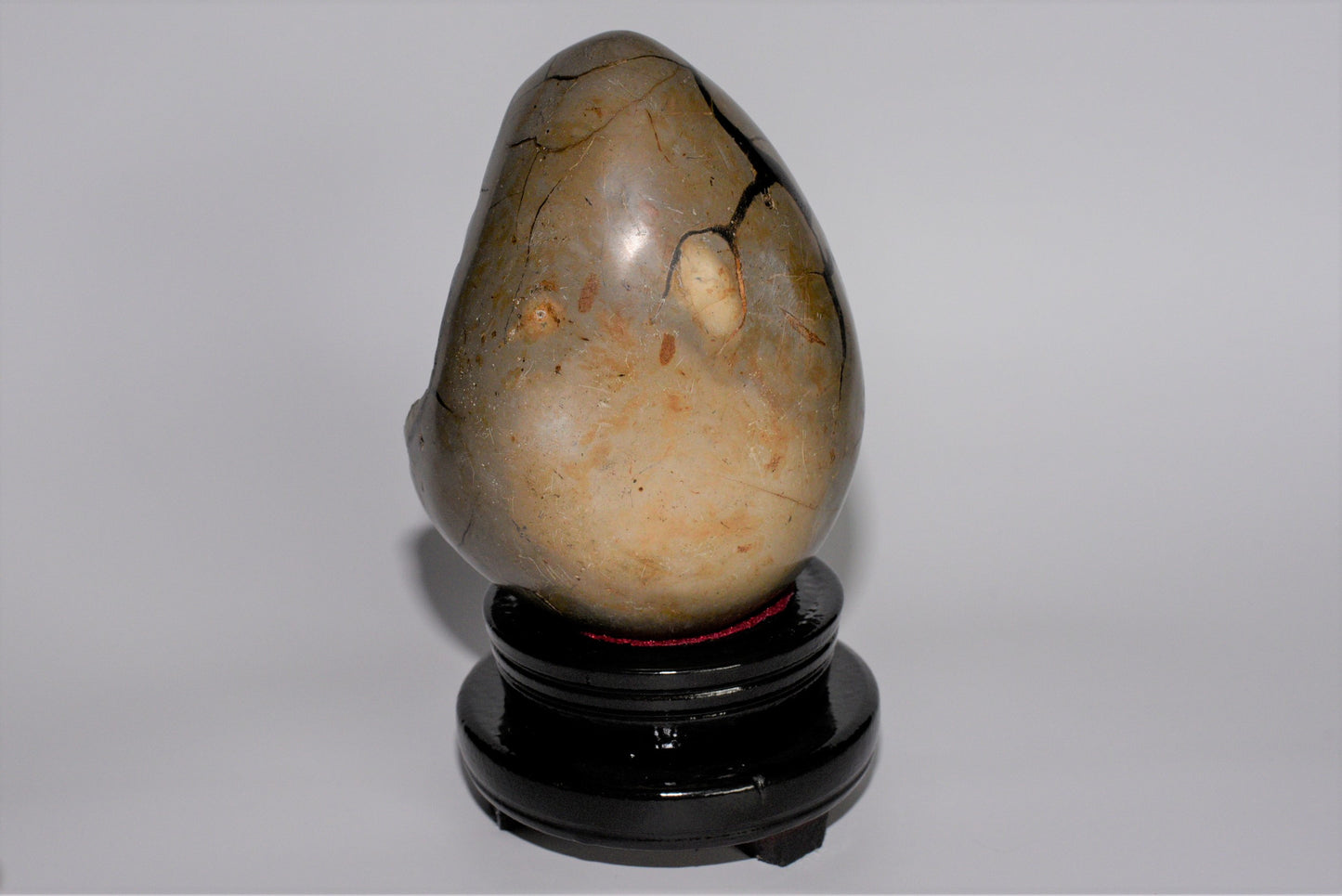 5.1" Polished, Multi-Colored Calcite Filled Septarian Geode "Egg" - Madagascar