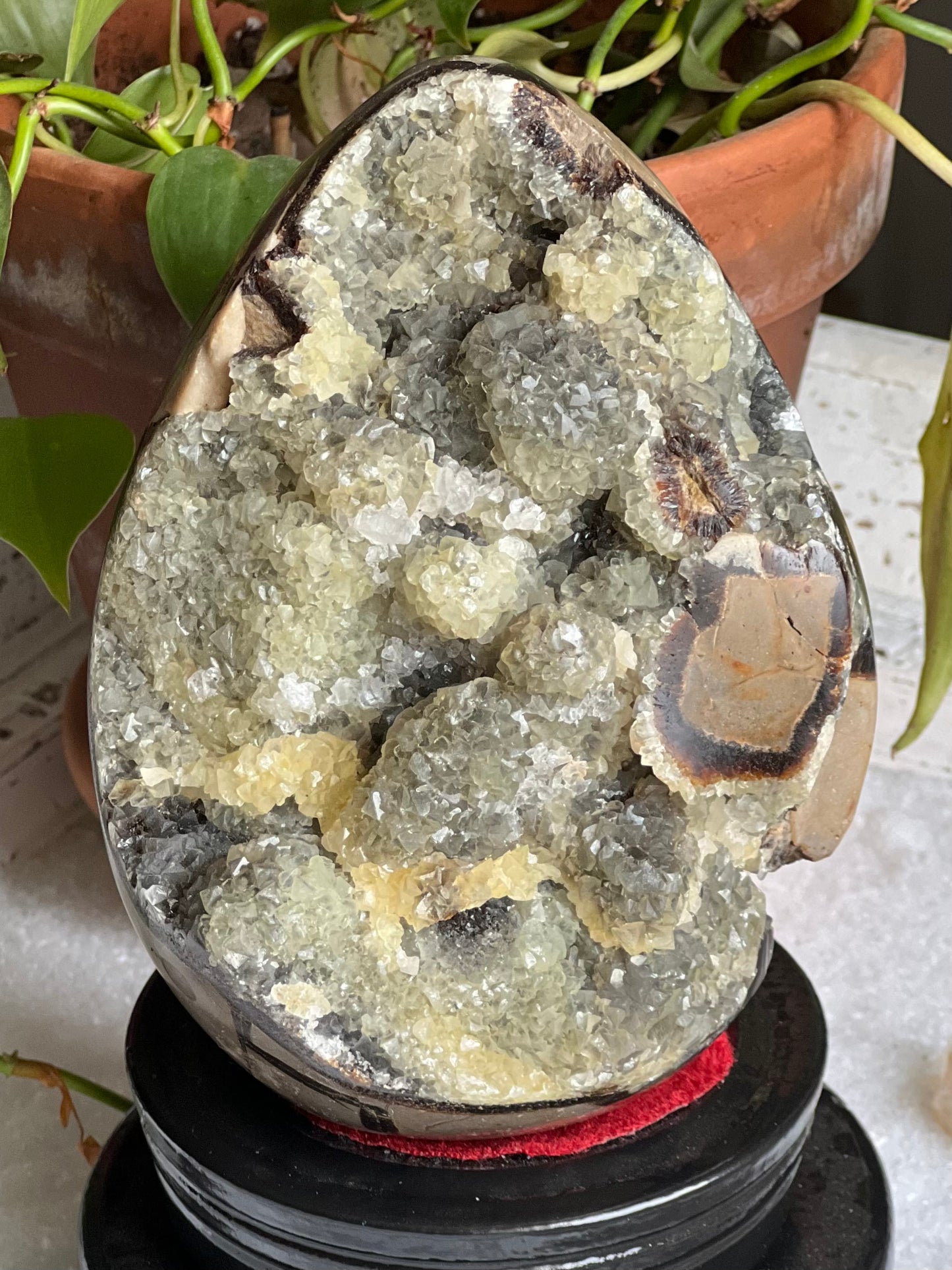 5.1" Polished, Multi-Colored Calcite Filled Septarian Geode "Egg" - Madagascar