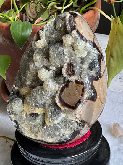 5.1" Polished, Multi-Colored Calcite Filled Septarian Geode "Egg" - Madagascar