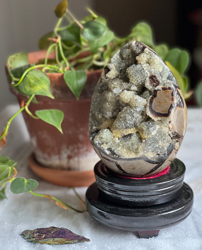 5.1" Polished, Multi-Colored Calcite Filled Septarian Geode "Egg" - Madagascar