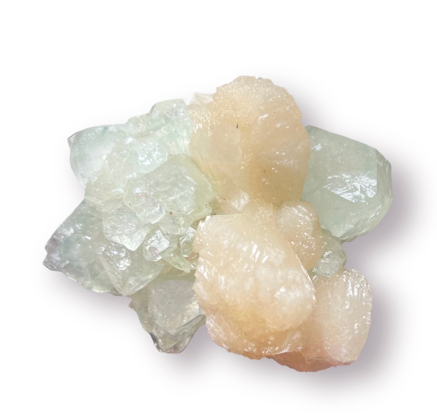 Stilbite Bowtie on Green Apophyllite